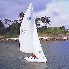 �Z�[�����O�E�C���[�W