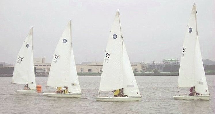 �n�~���O�o�[�h�P�R�̃Z�[�����O�E�C���[�W