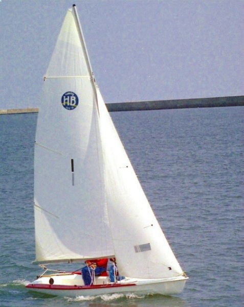 �n�~���O�o�[�h�P�S�̃Z�[�����O�E�C���[�W