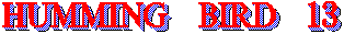 HUMMING BIRD 13_Logo