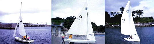 �n�~���O�o�[�h�P�R���~������Z�[�����O-�C���[�W