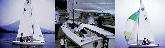 �n�~���O�o�[�h�P�S���~������Z�[�����O-�C���[�W